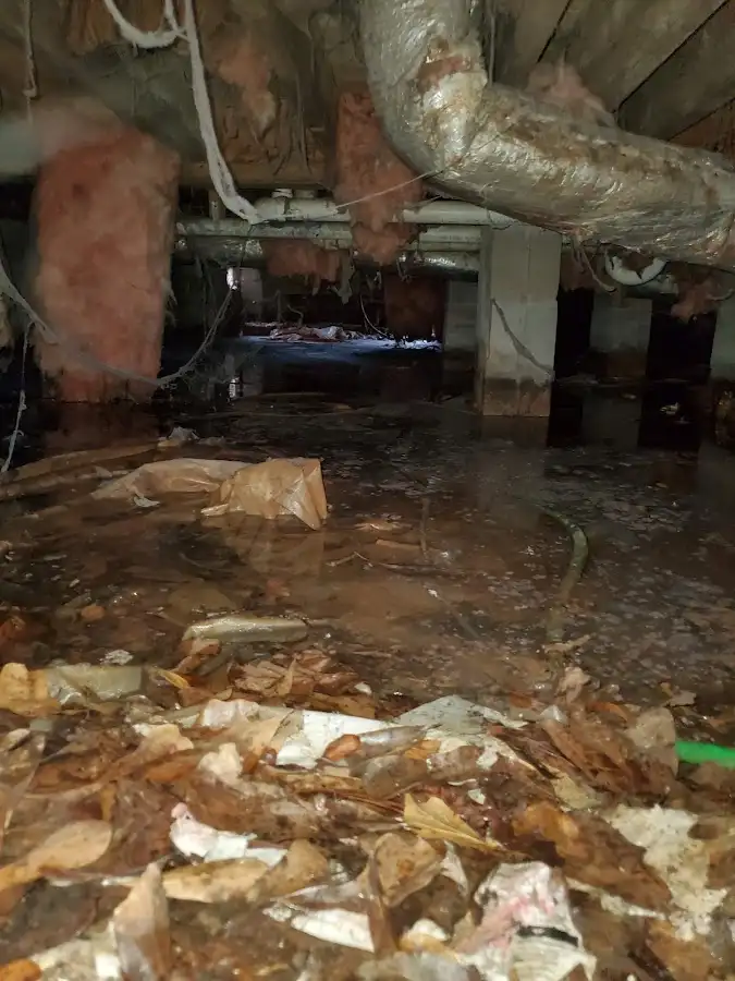 Crawl space flood assessment for Leak Detection & Repair in James Island
